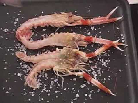 Cigalas a la Parrilla: La Delicia de las Tapas de Mariscos