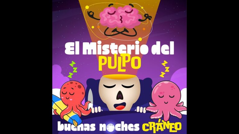 Los misterios nocturnos del pulpo